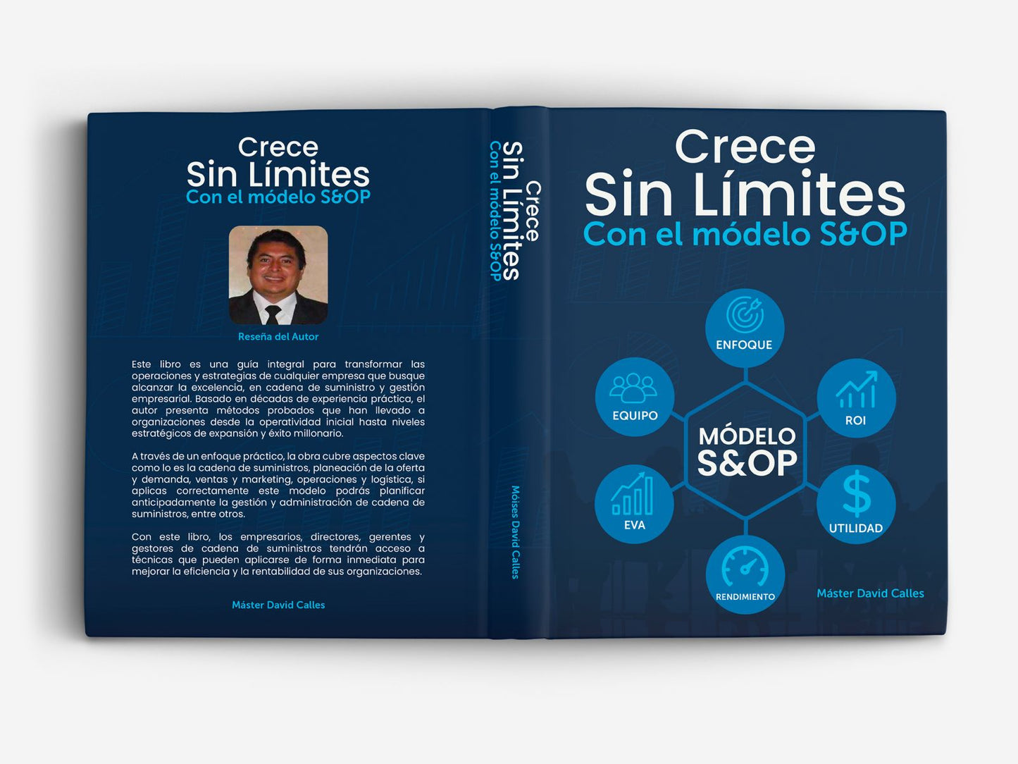 CRECE SIN LIMITES CON EL MODELO S&OP (Sales & Operations Planning)