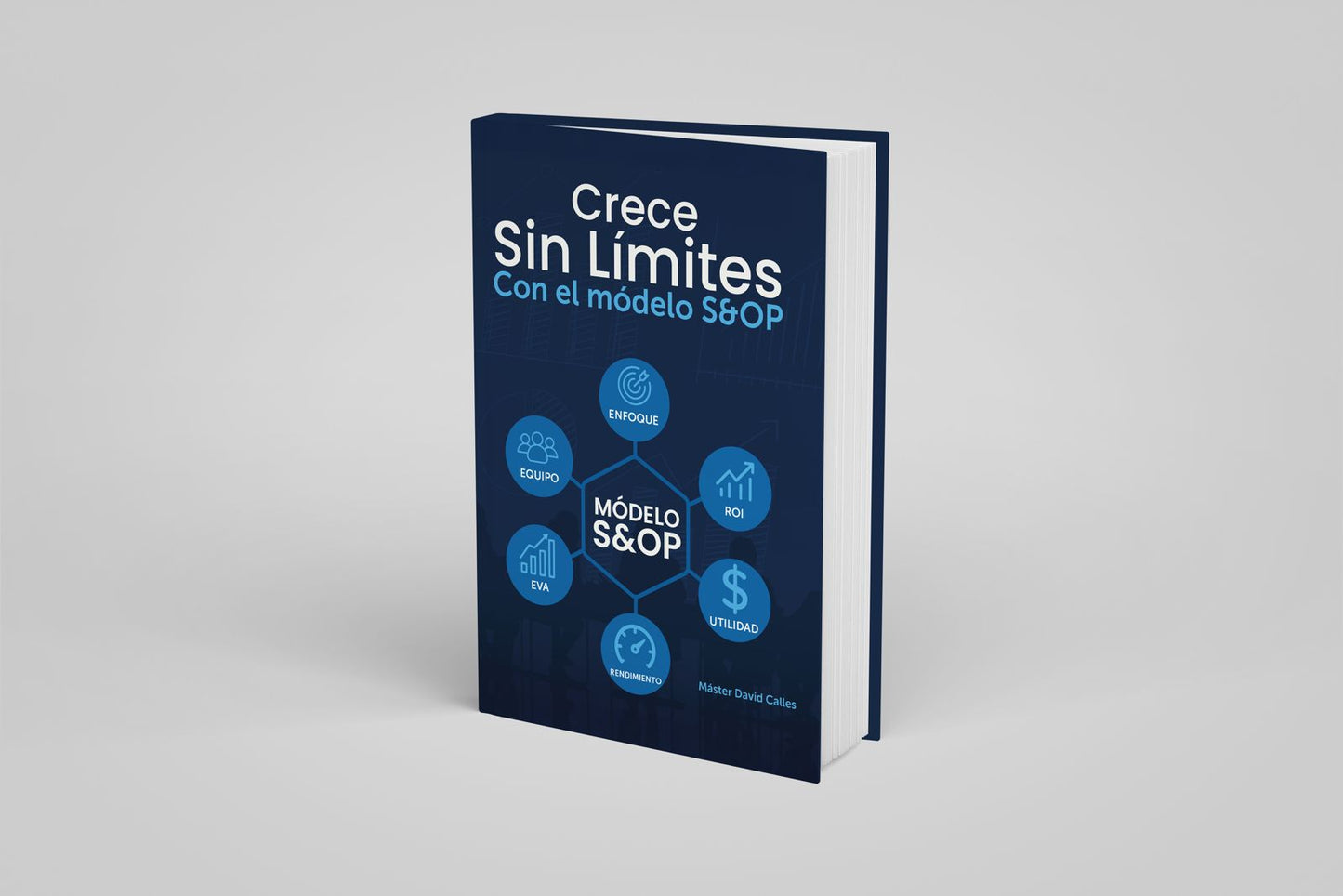 CRECE SIN LIMITES CON EL MODELO S&OP (Sales & Operations Planning)